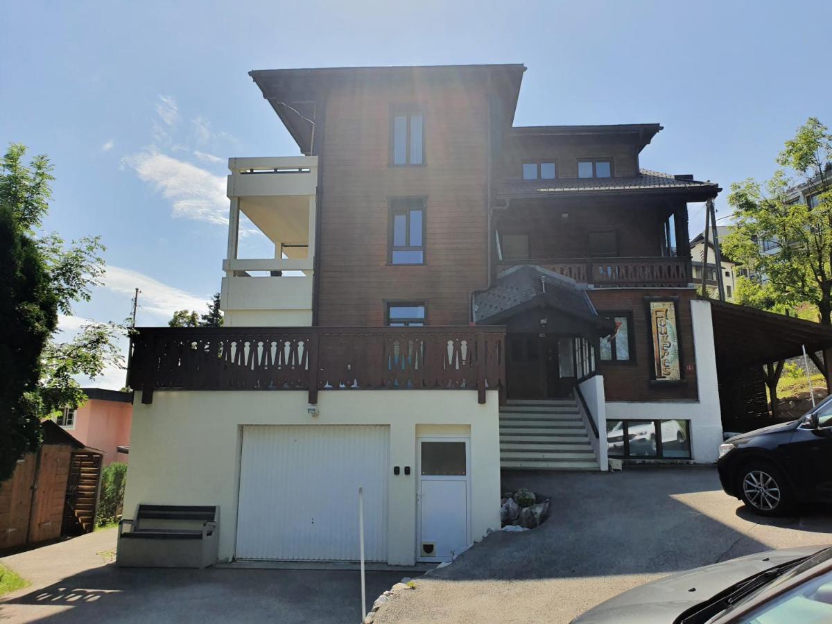 Nerine Apartment Leysin Luaran gambar