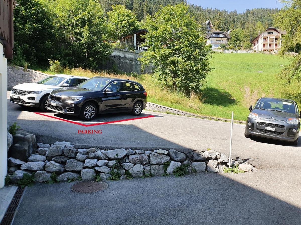 Nerine Apartment Leysin Luaran gambar