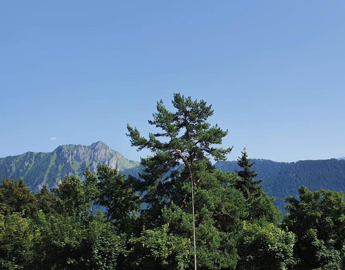 Nerine Apartment Leysin Luaran gambar
